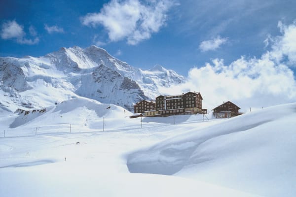 Wednesday Wonders 13